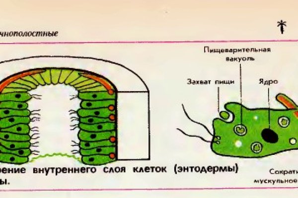 Гашиш меф шишки бошки купить в москве