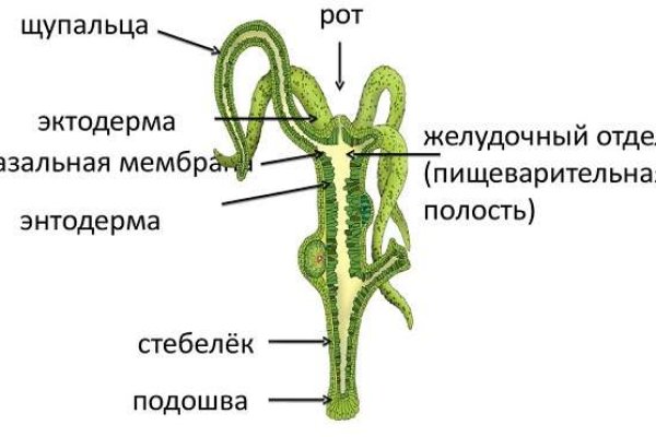 Кракен ссылка vk2 top